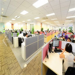 深圳海邦國(guó)際物流供應(yīng)鏈有限責(zé)任公司