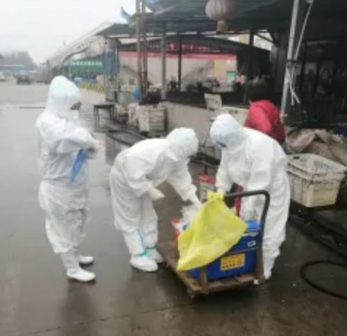 開封宏進(jìn)農(nóng)副產(chǎn)品國際物流中心 穩(wěn)市場 促民生 保供應(yīng)